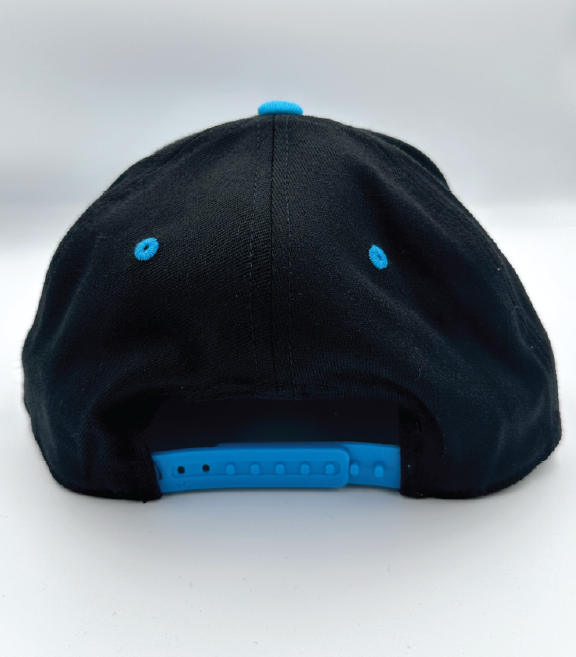 HOC - FlexFit Teal Snapback Hat
